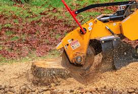 Best Lawn Maintenance Plans  in Le Mars, IA